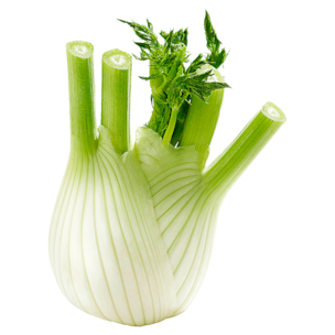 Fenchel ca. 250g
