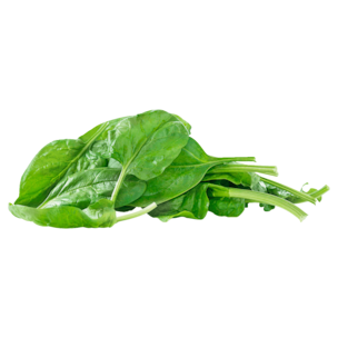 weserkorb Bio Blattspinat 100g