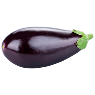 Bio Aubergine 1 Stück