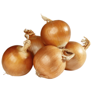 Bio Zwiebeln gelb 750g im Netz