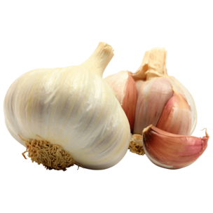 Bio Knoblauch 100g